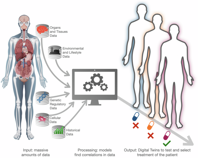 Challenges and opportunities for digital twins in precision medicine ...