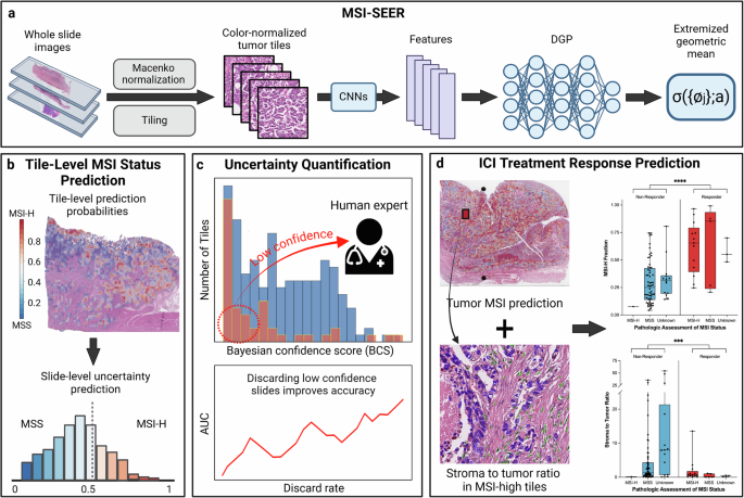 Fig. 1: Workflow of summary of current study.
