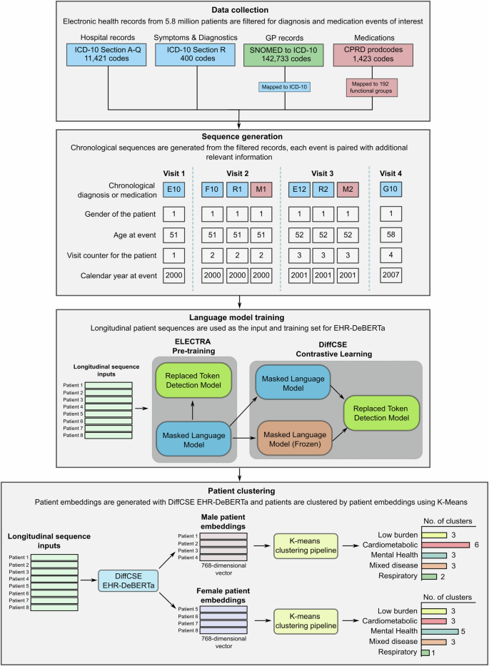 Fig. 1: Study overview.