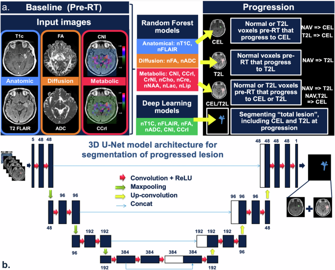 Fig. 5: Overview of study approach and model training.