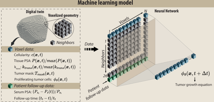 Machine learning model.