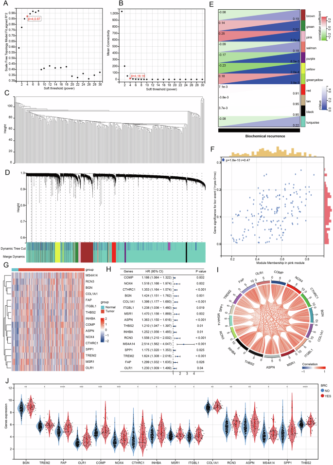 Fig. 1: Identification of 16 BCR-associated genes based on WGCNA.