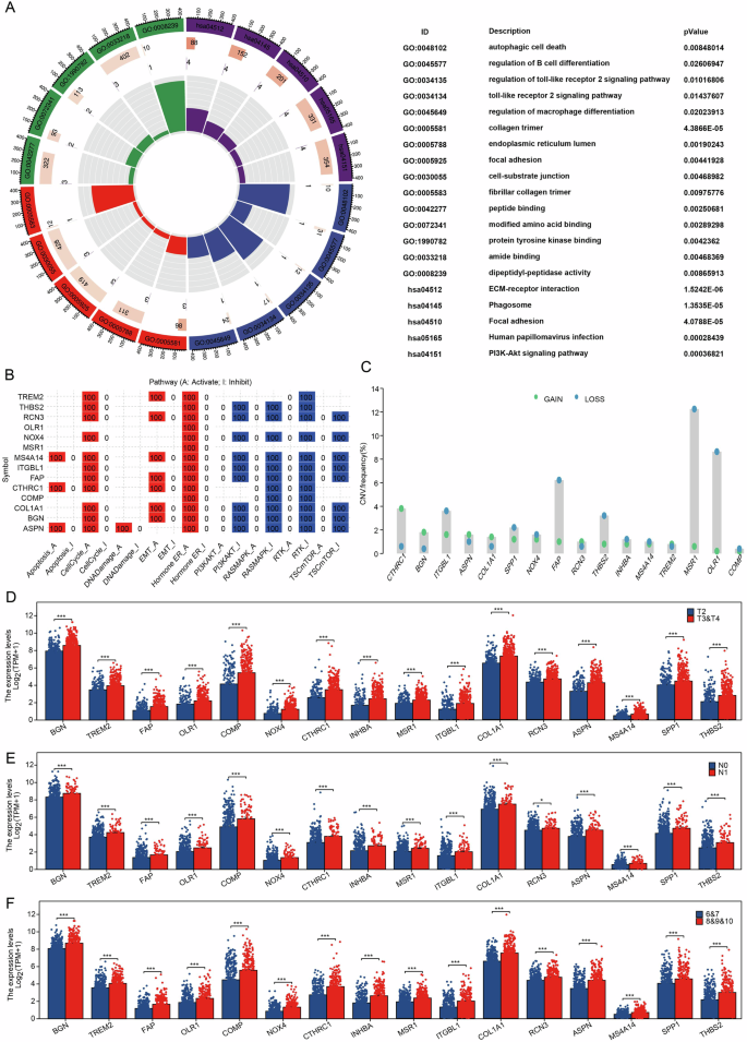 Fig. 2: BCR-related genes play an important role in PRAD.
