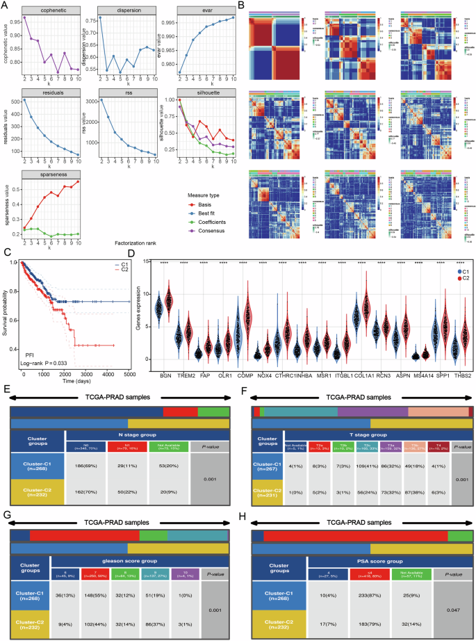 Fig. 3: BCR-related genes are significantly associated with prognostic and pathologic parameters in PRAD patients.