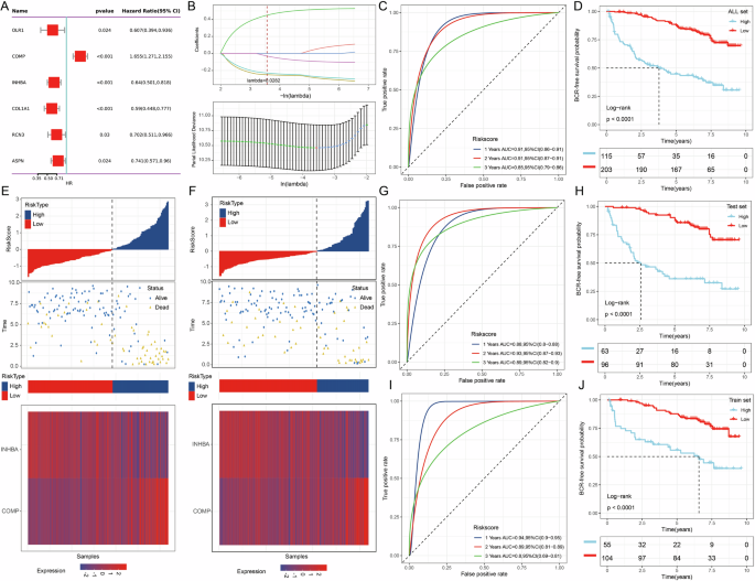 Fig. 6: Constructing BCR-related prognostic models.