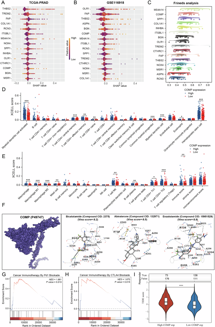 Fig. 7: COMP is identified as a key regulatory gene for BCR.