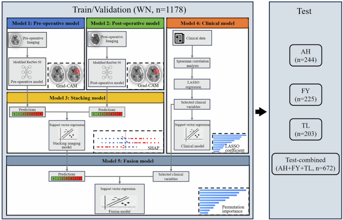 Fig. 2: Workflow of model construction.