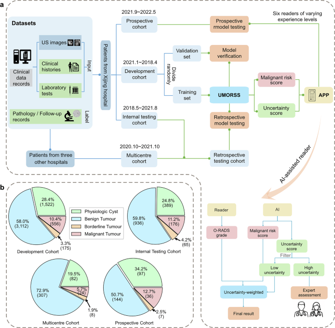 Fig. 1: Study overview and cohort composition.