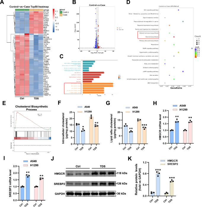 Fig. 5: Tandospirone decreases the cholesterol levels in tumor cells.