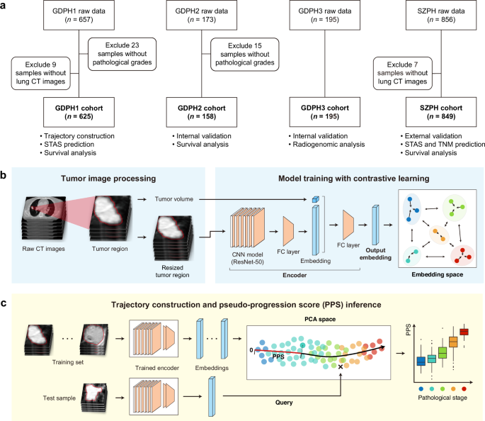 Fig. 1: Study design and method diagram.
