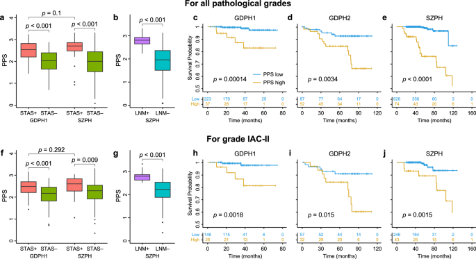 Fig. 3: Association between PPS with tumor properties and patient prognosis in all esLUAD tumors and in grade IAC-II.