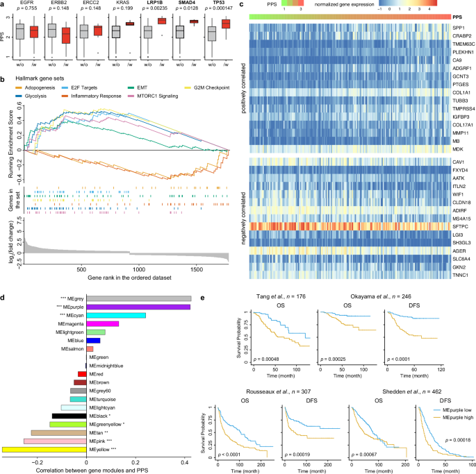 Fig. 4: RadioTrace is associated with gene expression of esLUAD tumors.