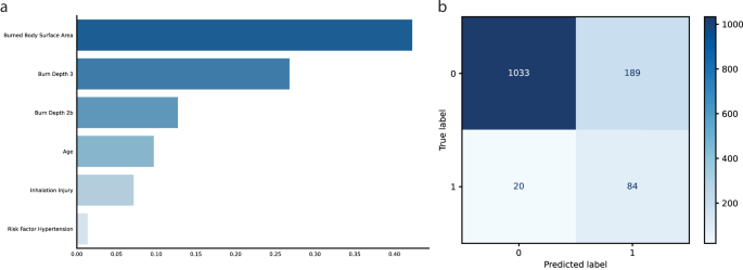Fig. 3: Feature importance and confusion matrix of the final Random Forest model trained with the EDA set predicting sepsis in burn patients.
