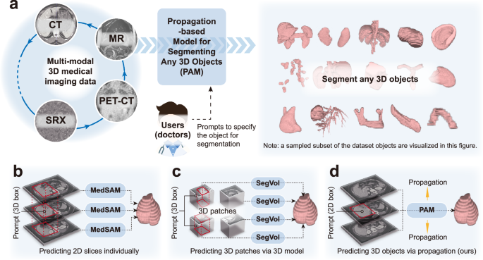 Fig. 1: PAM is designed for segmenting any 3D objects within various multi-modal 3D medical imaging data.