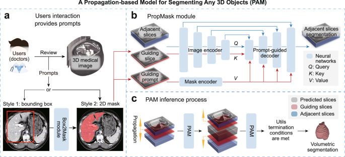 Fig. 2: Workflow and inference process of the propagation-based model for segmenting any 3D objects (PAM).