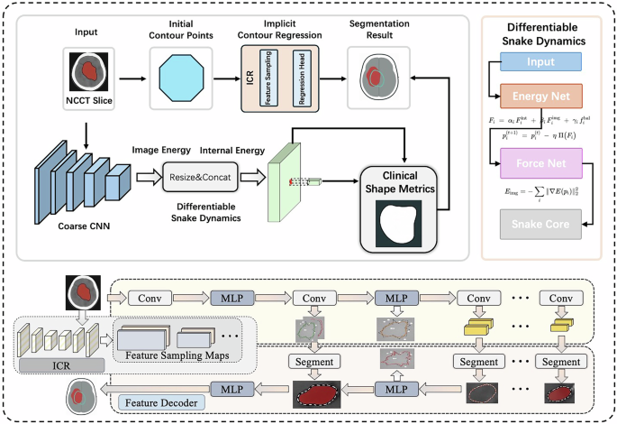 Fig. 9: Overall architecture of the proposed HemaContour framework.