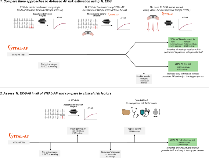 Fig. 1: Study overview.