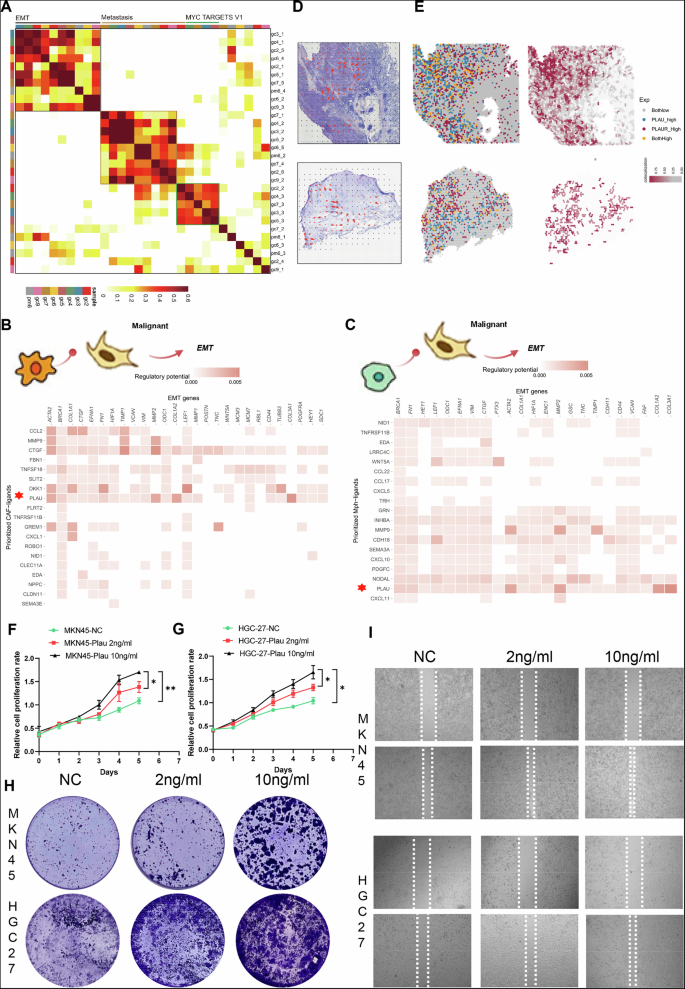 Fig. 7: Signaling interaction features of the MFM Niche.