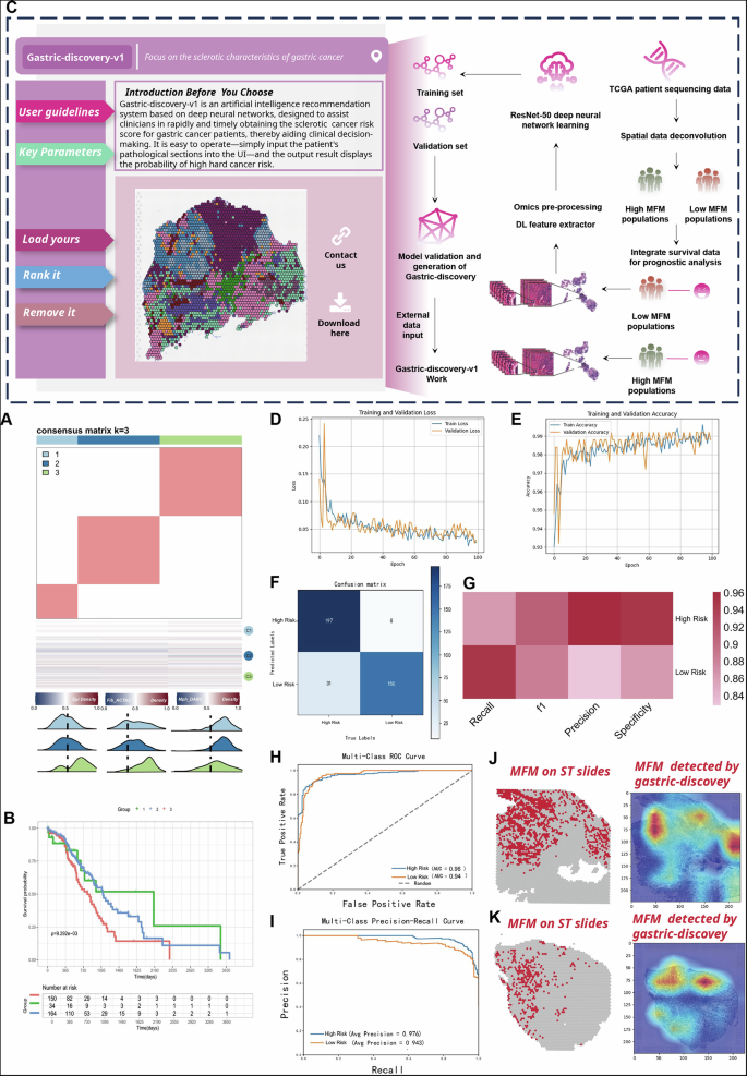 Fig. 8: Development, training, and validation of the Gastric-Discovery deep learning model.