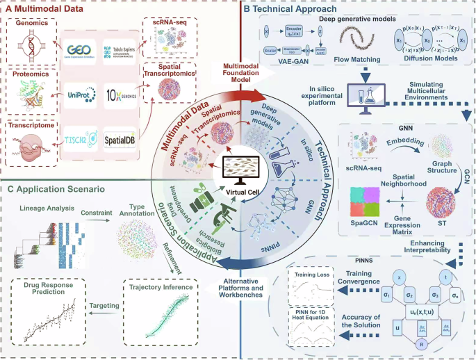 Fig. 2: Schematic workflow of virtual cell models.