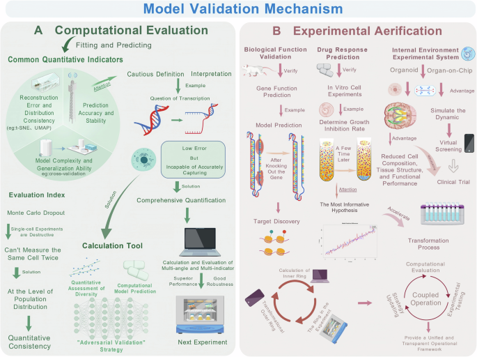 Fig. 3: Schematic diagram of virtual cell model verification mechanism.