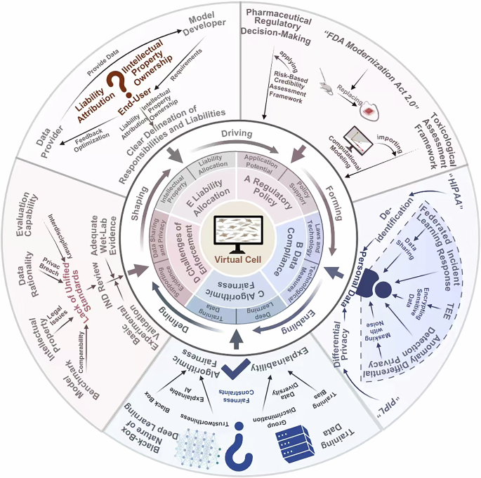 Fig. 5: Clinical translation, ethics, and compliance challenges of virtual cell models.
