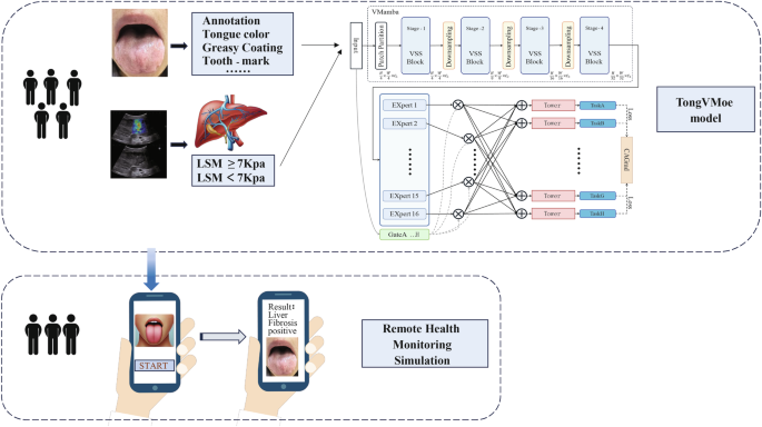 Fig. 1: Workflow of the study.