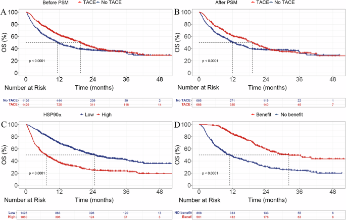 Fig. 2: Kaplan–Meier curves for OS in different patient groups.