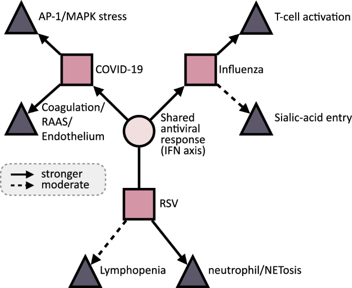 Fig. 6: Shared versus virus-specific mechanisms.