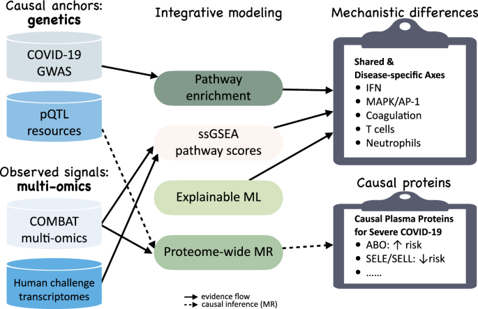 Fig. 7: Overview of the genetics-anchored integration.