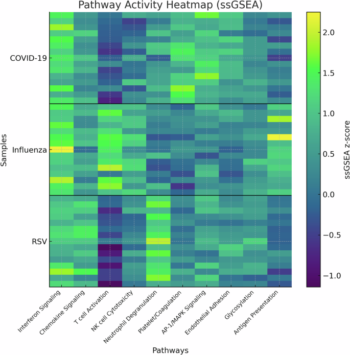 Fig. 8: Pathway activity heatmap (ssGSEA) across diseases.