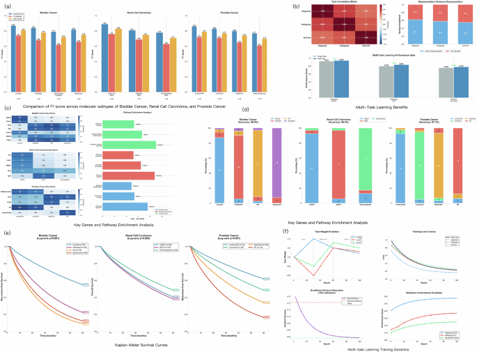 Fig. 2: Comprehensive analysis of multi-task learning performance.