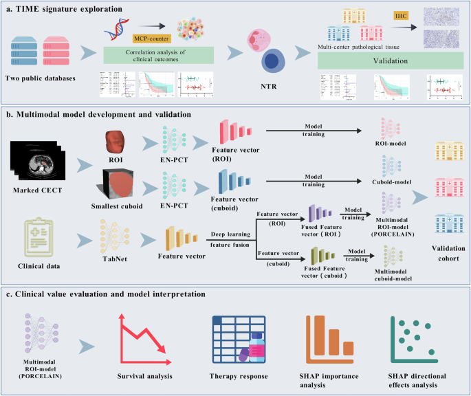 Fig. 1: An illustration of this study.