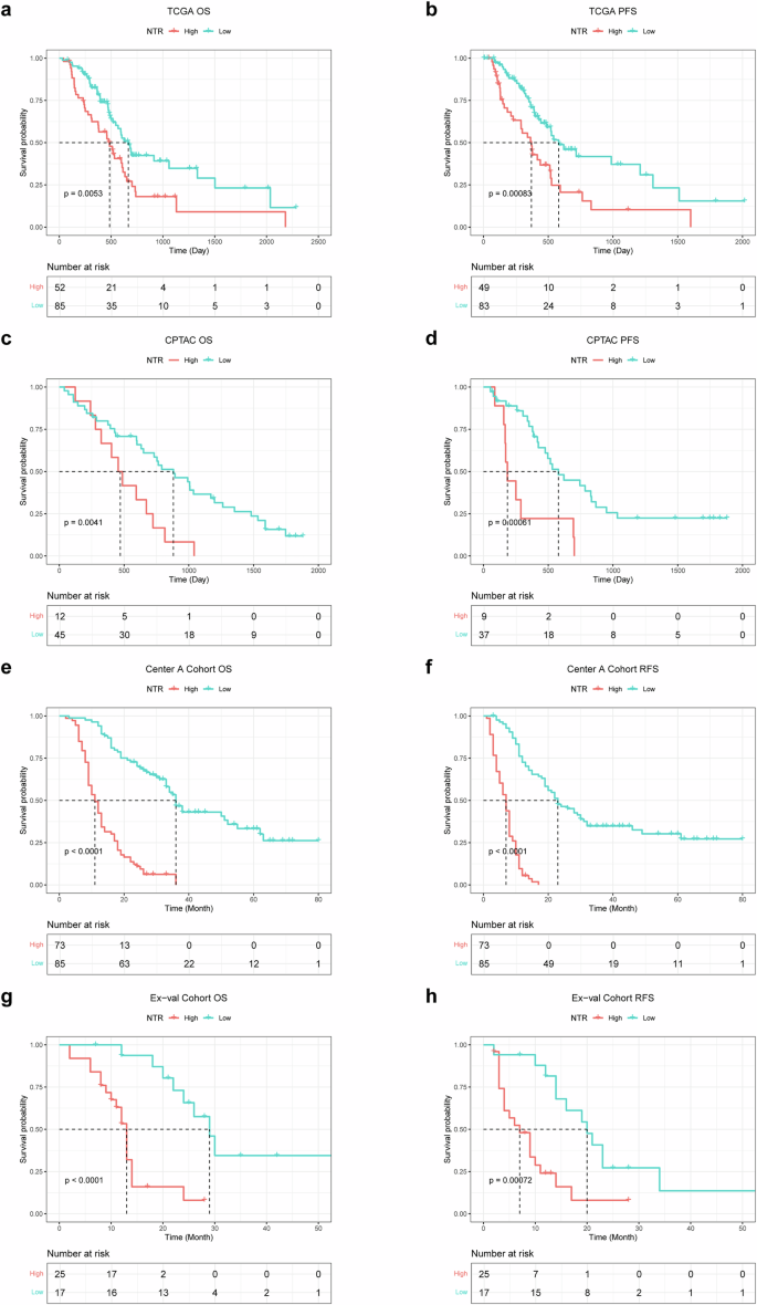 Fig. 2: Impact of tumor-infiltrating NTR on prognostic and chemotherapeutic response in public cohorts.