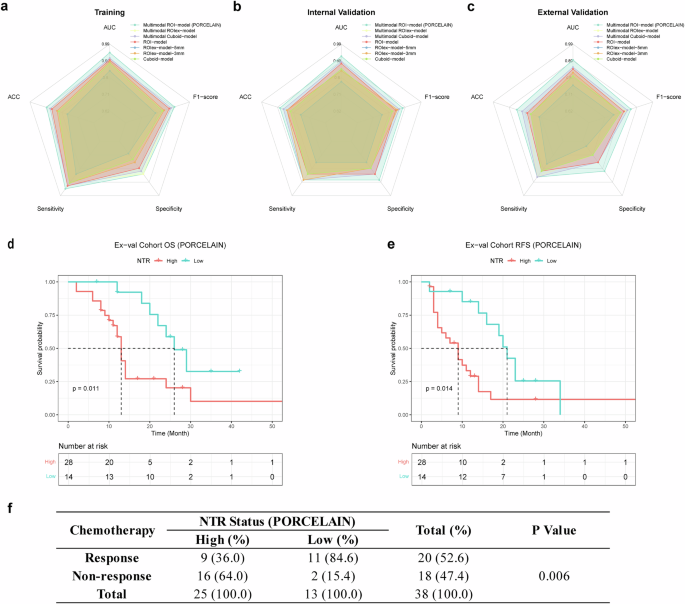 Fig. 3: Performance metrics and clinical relevance of AI prediction models.