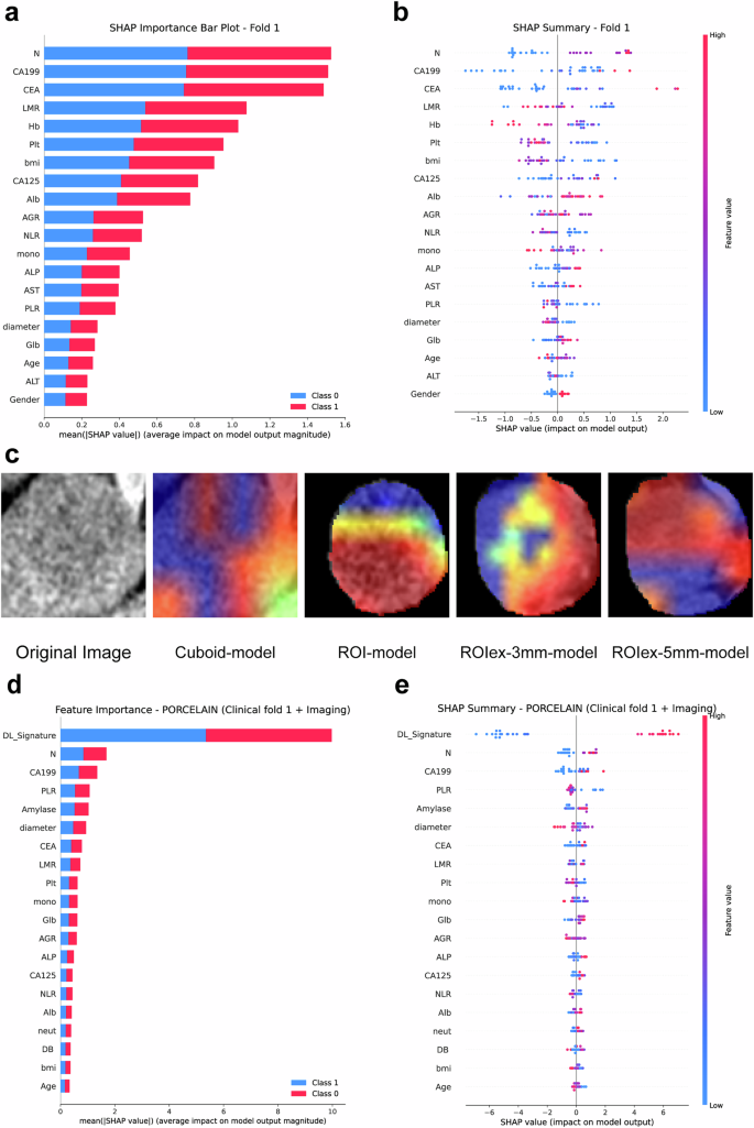 Fig. 4: Interpretability of AI predictions.