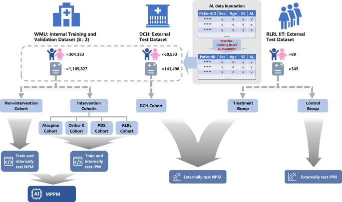 Fig. 1: Overview of the study design.