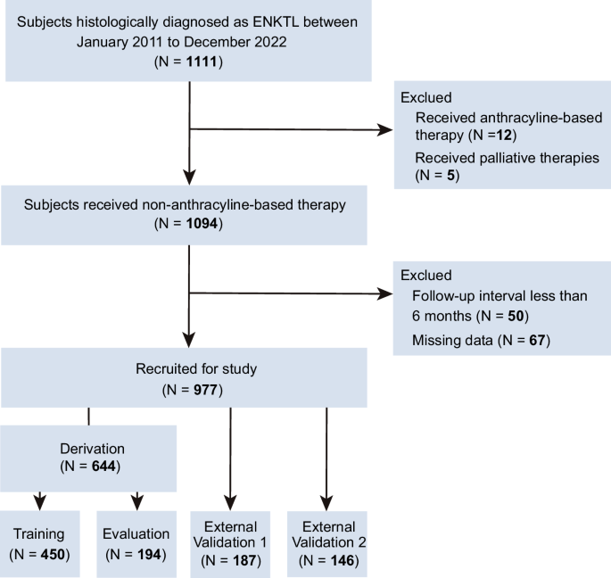 Fig. 1: Subjects’ inclusion in the derivation and validation cohorts.