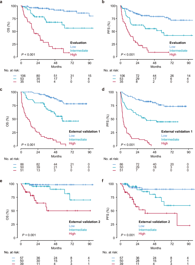 Fig. 5: Kaplan-Meier survival analyses of risk groups stratified by ENKTL-ML score.