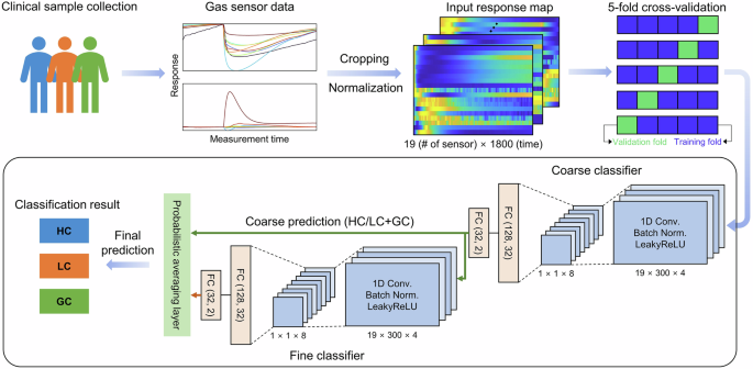 Fig. 4: Schematic illustration of the HD-CNN-based breath analysis workflow for multi-cancer dual-cancer classification.