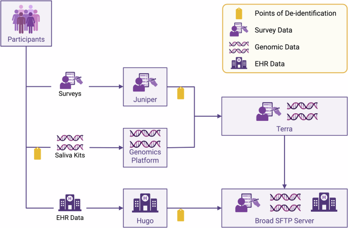 Fig. 2: OurHealth data flow across survey, genomic, and electronic health record sources.