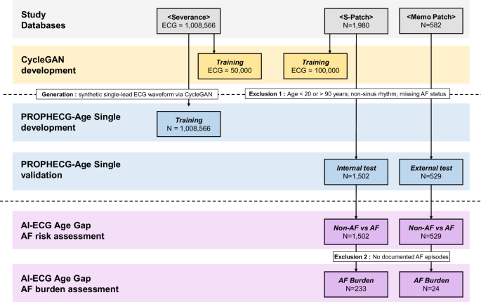 Fig. 1: Data sources, model development, and analytical cohort derivation for PROPHECG-Age Single.