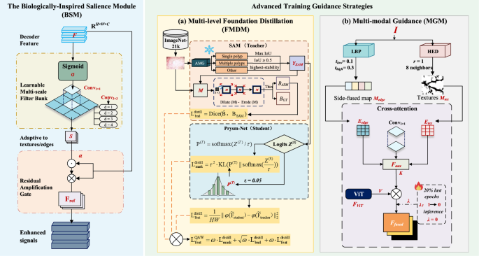 Fig. 5: Detailed view of the BSM and advanced training guidance strategies.