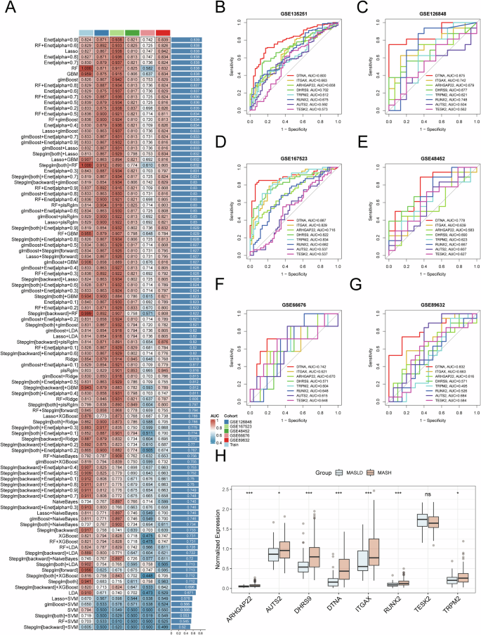 Fig. 8: DTNA⁺ macrophage signature genes predict MASLD and MASH.