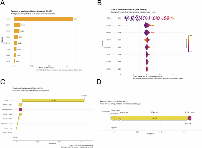 Fig. 9: SHAP interpretation of the Enet (α = 0.9) model underscores the pivotal role of DTNA.
