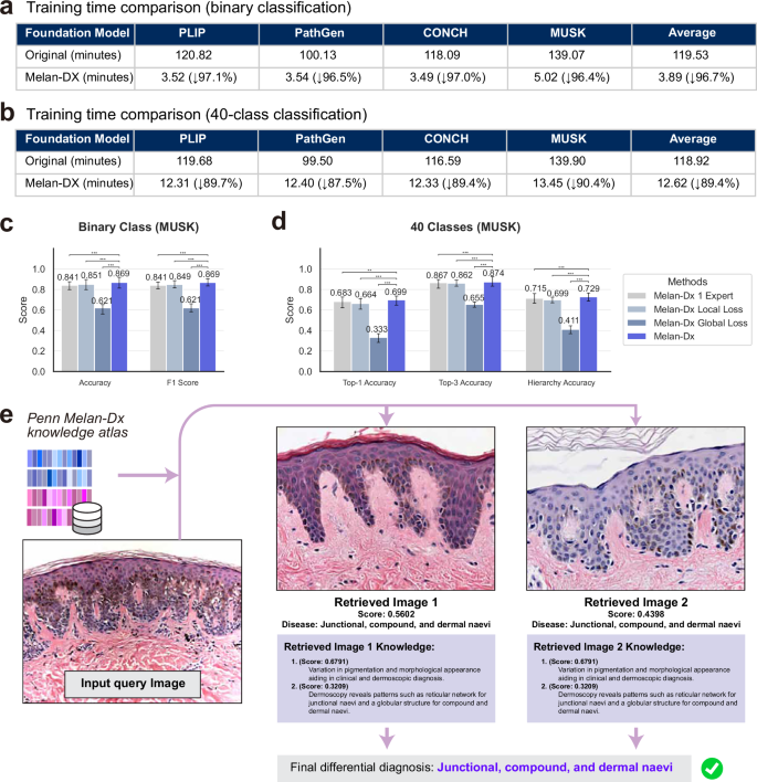 Melan-Dx: a knowledge-enhanced vision-language framework improves  differential diagnosis of melanocytic neoplasm pathology | npj Digital  Medicine