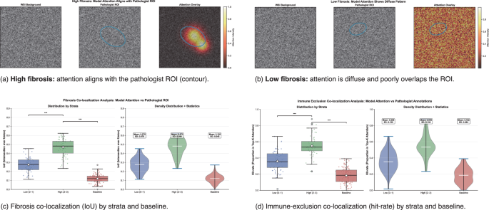 Fig. 2: Morphology co-localization.