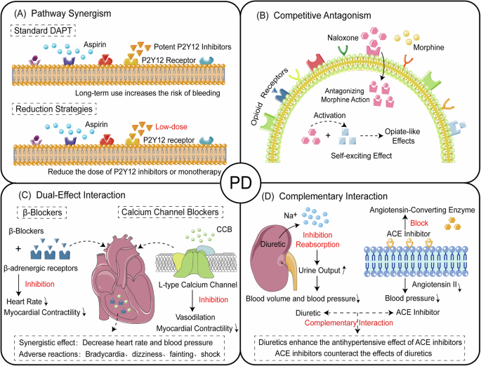 Fig. 8: The clinical application of drug-drug interaction in pharmacodynamics.