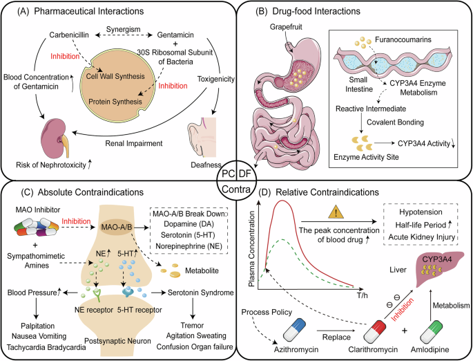 Fig. 9: The clinical application of drug-drug interaction in pharmaceutical, drug-food, and pharmacological contraindications.