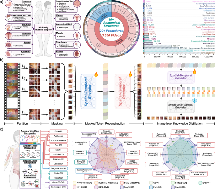 Fig. 1: Overview of the study.